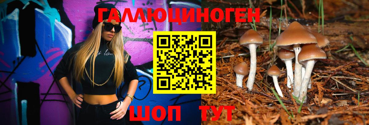 Псилоцибиновые грибы мицелий Нижнеудинск
